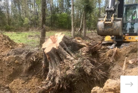 Triple S Outdoor Maintenance Removing tree stumps from Florida property, Jackson County